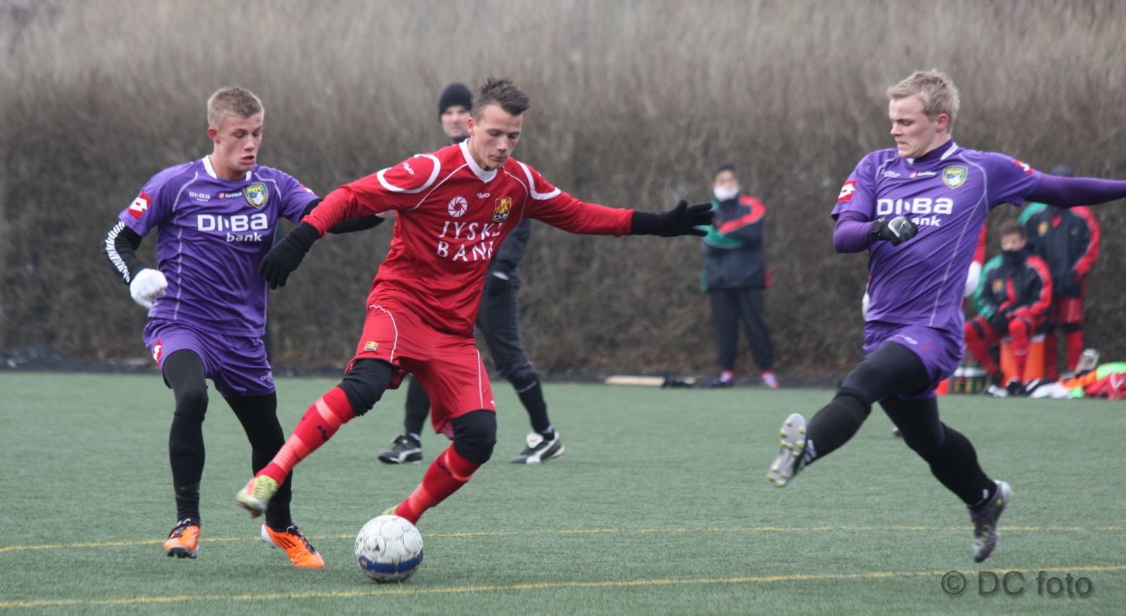 HOLB FCN017